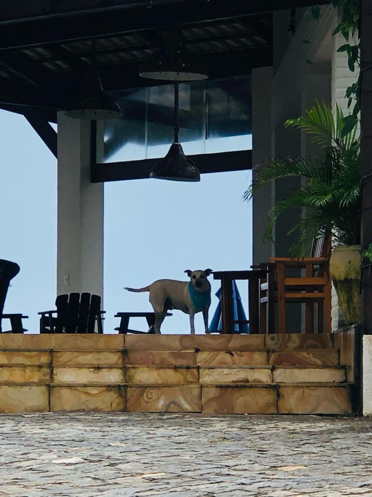 Villa Ava Kite - Guajiru ترايري المظهر الخارجي الصورة