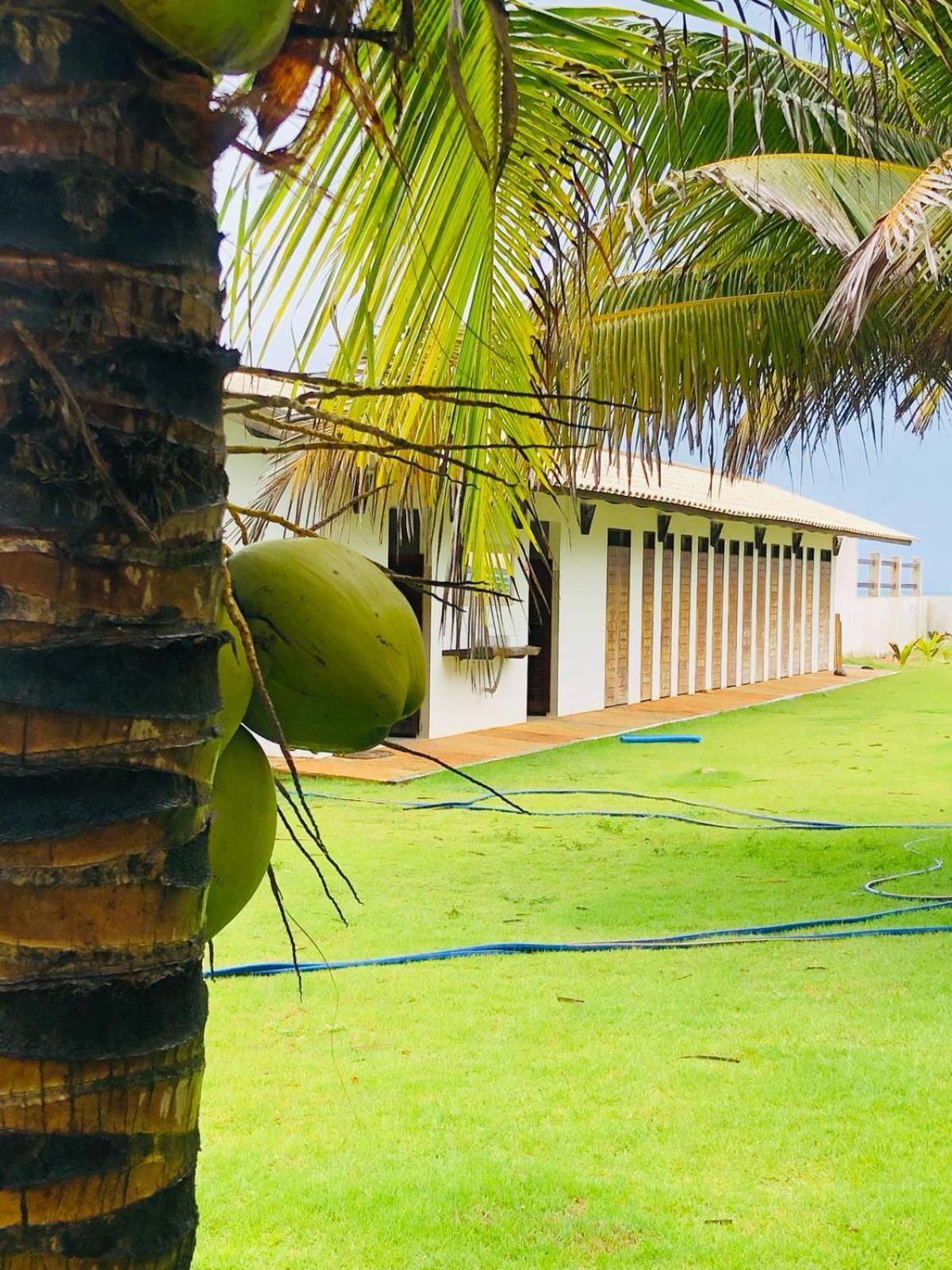 Villa Ava Kite - Guajiru ترايري المظهر الخارجي الصورة